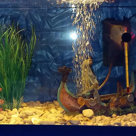 Διαμέρισμα S-type In The Center *