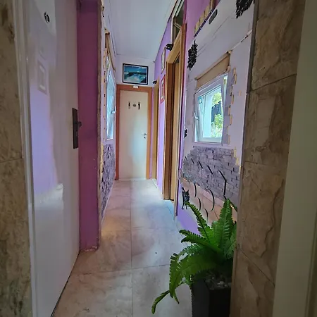 S-type In The Center Appartement Split