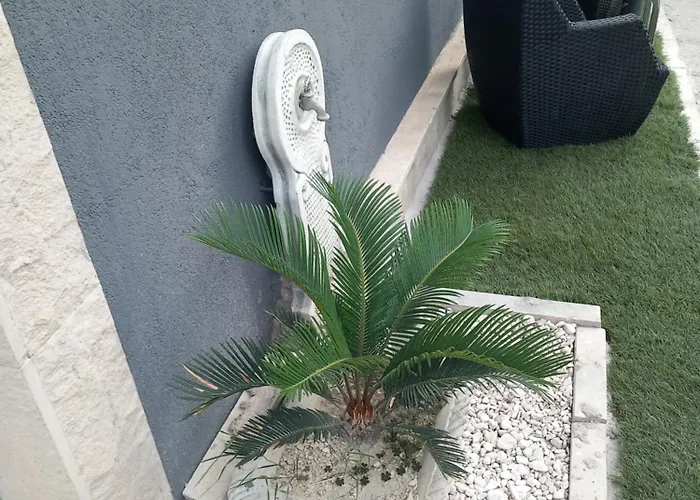 S-type In The Center *