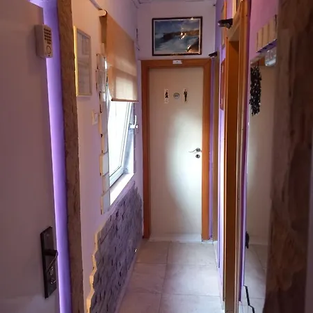 Appartement S-type In The Center Split