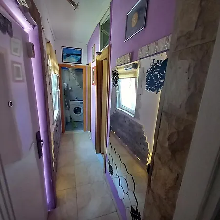 S-type In The Center Appartement Split