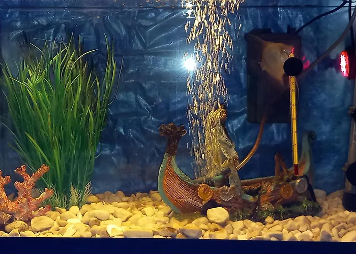 Appartement S-type In The Center *